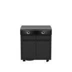 Module BBQ Heat X-245 30MBAR